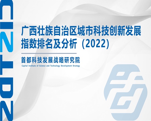 操逼操出水的网站【成果发布】广西壮族自治区城市科技创新发展指数排名及分析（2022）